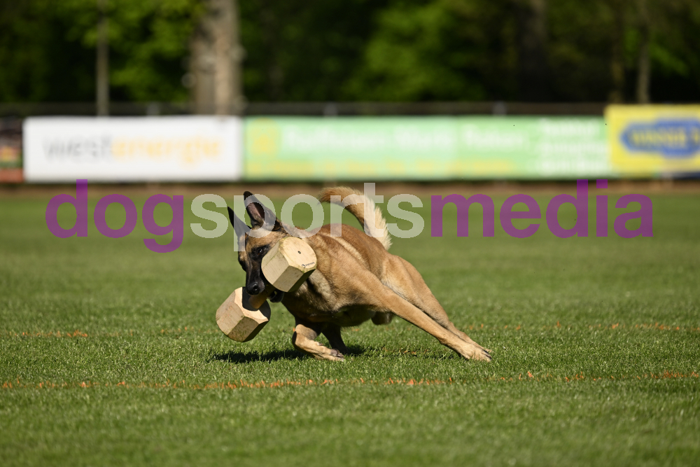 Preview _JRI_05757.jpg